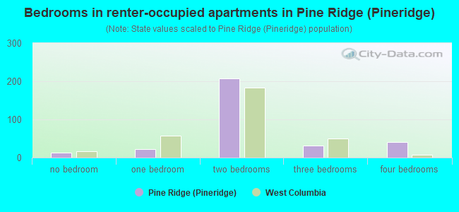 Bedrooms in renter-occupied apartments in Pine Ridge (Pineridge)