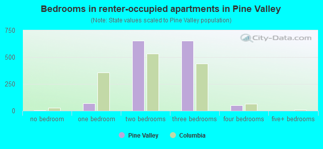 Bedrooms in renter-occupied apartments in Pine Valley