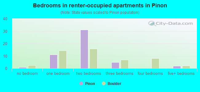 Bedrooms in renter-occupied apartments in Pinon