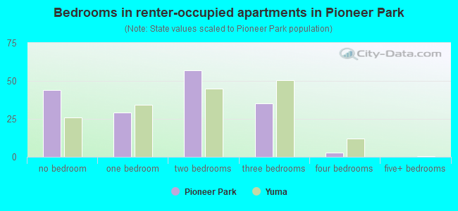 Bedrooms in renter-occupied apartments in Pioneer Park
