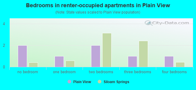 Bedrooms in renter-occupied apartments in Plain View