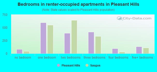 Bedrooms in renter-occupied apartments in Pleasant Hills