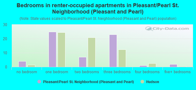 Bedrooms in renter-occupied apartments in Pleasant/Pearl St. Neighborhood (Pleasant and Pearl)