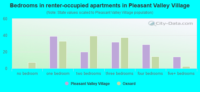 Bedrooms in renter-occupied apartments in Pleasant Valley Village