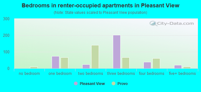 Bedrooms in renter-occupied apartments in Pleasant View