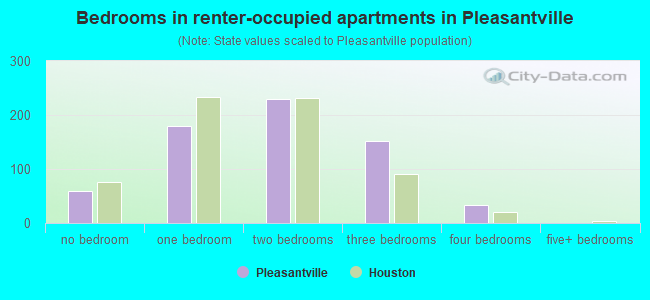 Bedrooms in renter-occupied apartments in Pleasantville