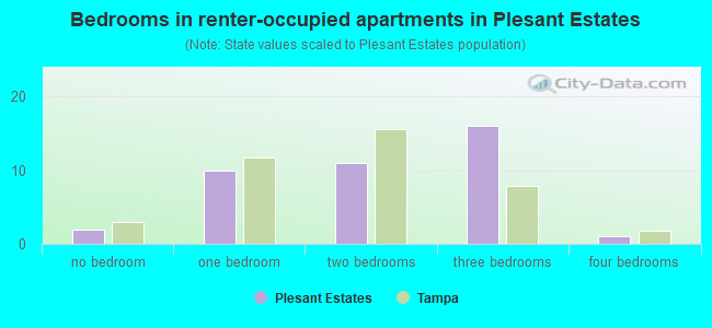 Bedrooms in renter-occupied apartments in Plesant Estates
