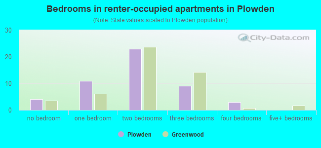 Bedrooms in renter-occupied apartments in Plowden