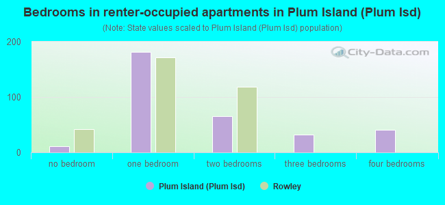 Bedrooms in renter-occupied apartments in Plum Island (Plum Isd)