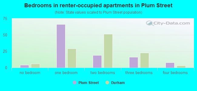 Bedrooms in renter-occupied apartments in Plum Street