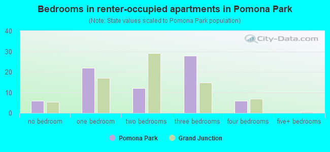 Bedrooms in renter-occupied apartments in Pomona Park