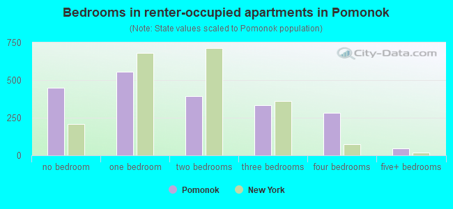 Bedrooms in renter-occupied apartments in Pomonok