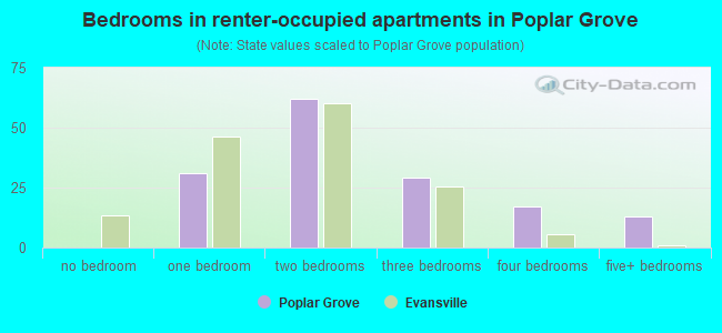 Bedrooms in renter-occupied apartments in Poplar Grove