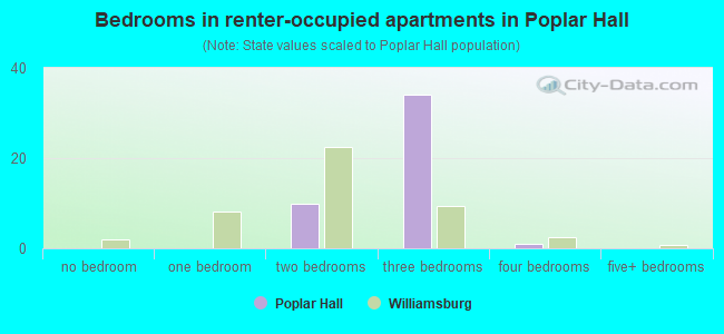 Bedrooms in renter-occupied apartments in Poplar Hall