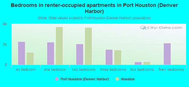 Bedrooms in renter-occupied apartments in Port Houston (Denver Harbor)