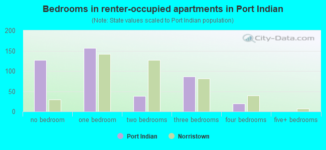 Bedrooms in renter-occupied apartments in Port Indian