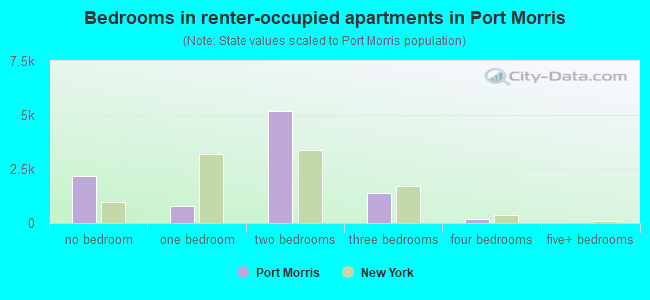 Bedrooms in renter-occupied apartments in Port Morris