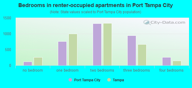 Bedrooms in renter-occupied apartments in Port Tampa City