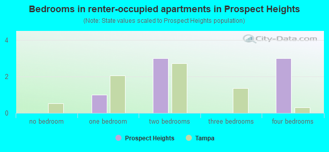 Bedrooms in renter-occupied apartments in Prospect Heights