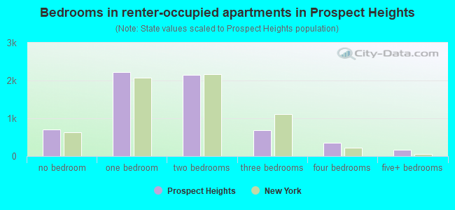 Bedrooms in renter-occupied apartments in Prospect Heights