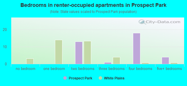 Bedrooms in renter-occupied apartments in Prospect Park