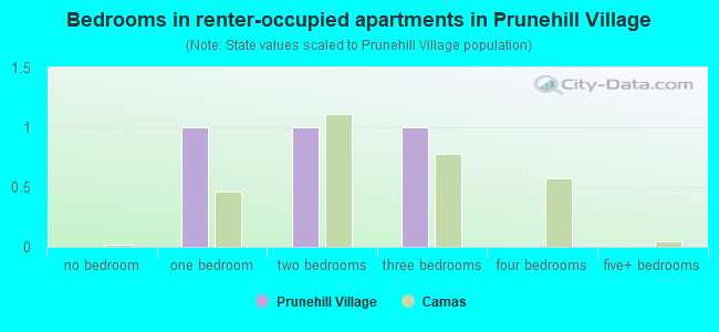 Bedrooms in renter-occupied apartments in Prunehill Village