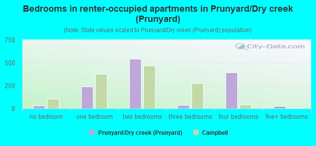 Bedrooms in renter-occupied apartments in Prunyard/Dry creek (Prunyard)