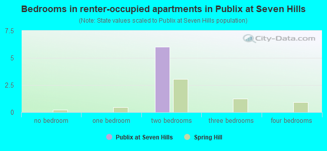Bedrooms in renter-occupied apartments in Publix at Seven Hills