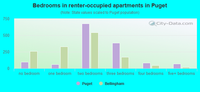 Bedrooms in renter-occupied apartments in Puget