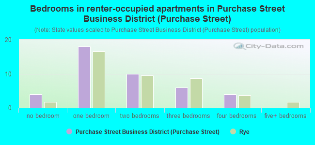 Bedrooms in renter-occupied apartments in Purchase Street Business District (Purchase Street)