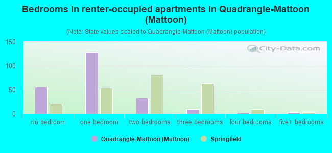 Bedrooms in renter-occupied apartments in Quadrangle-Mattoon (Mattoon)