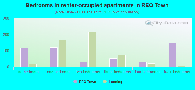 Bedrooms in renter-occupied apartments in REO Town