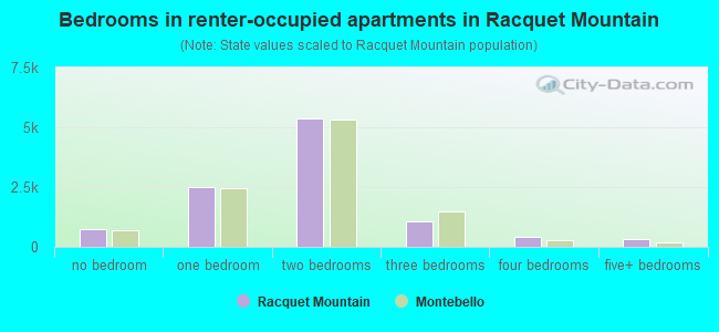 Bedrooms in renter-occupied apartments in Racquet Mountain