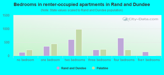 Bedrooms in renter-occupied apartments in Rand and Dundee