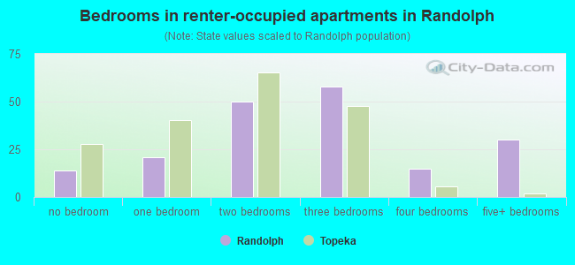 Bedrooms in renter-occupied apartments in Randolph