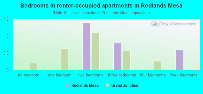 Bedrooms in renter-occupied apartments in Redlands Mesa