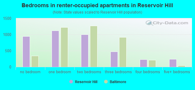 Bedrooms in renter-occupied apartments in Reservoir Hill