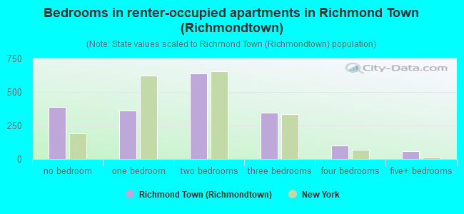 Bedrooms in renter-occupied apartments in Richmond Town (Richmondtown)