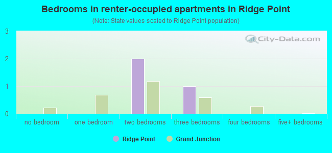 Bedrooms in renter-occupied apartments in Ridge Point