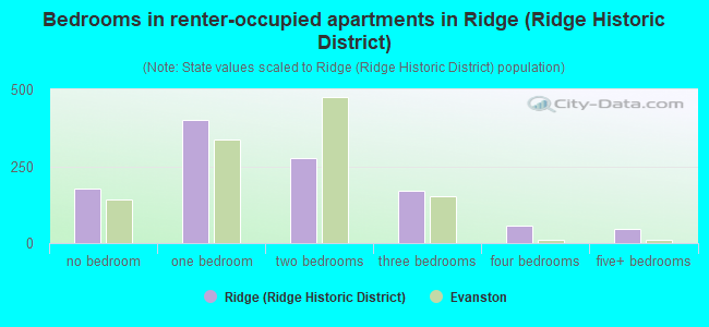 Bedrooms in renter-occupied apartments in Ridge (Ridge Historic District)
