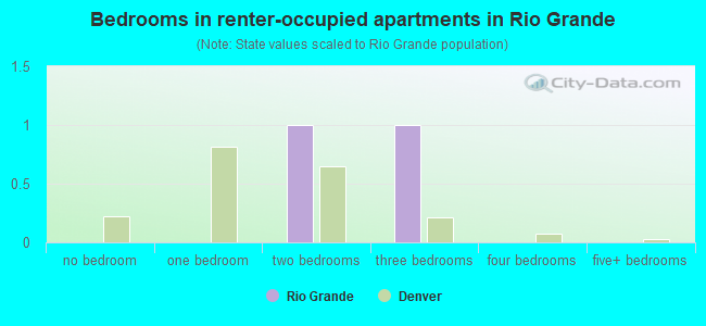 Bedrooms in renter-occupied apartments in Rio Grande