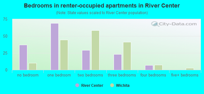 Bedrooms in renter-occupied apartments in River Center