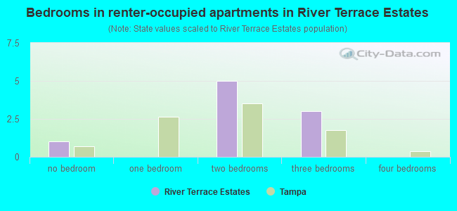 Bedrooms in renter-occupied apartments in River Terrace Estates