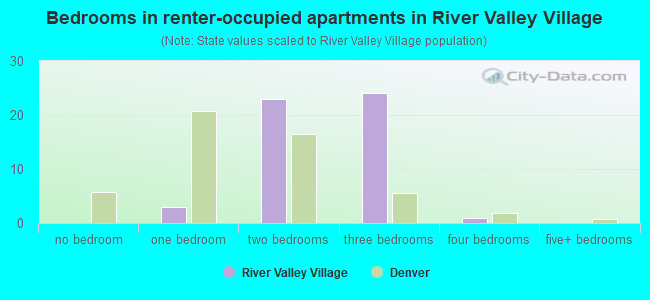 Bedrooms in renter-occupied apartments in River Valley Village