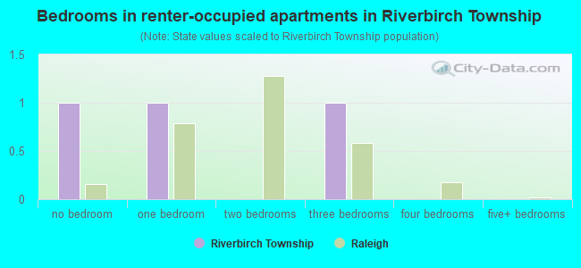 Bedrooms in renter-occupied apartments in Riverbirch Township