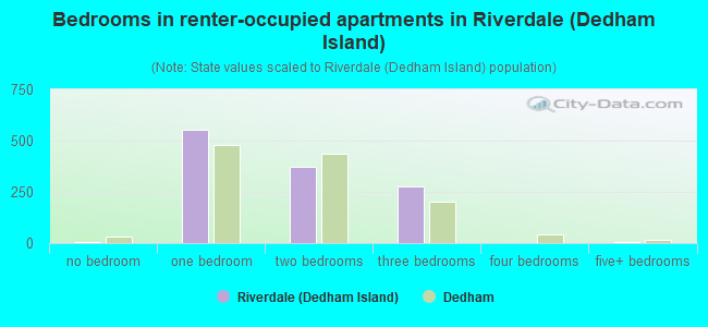 Bedrooms in renter-occupied apartments in Riverdale (Dedham Island)