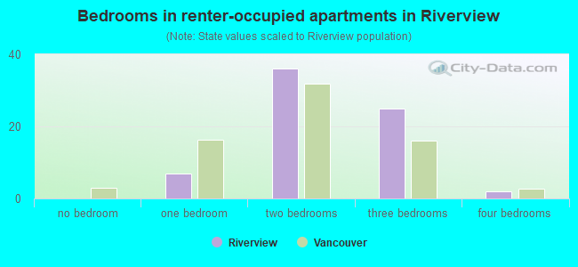 Bedrooms in renter-occupied apartments in Riverview