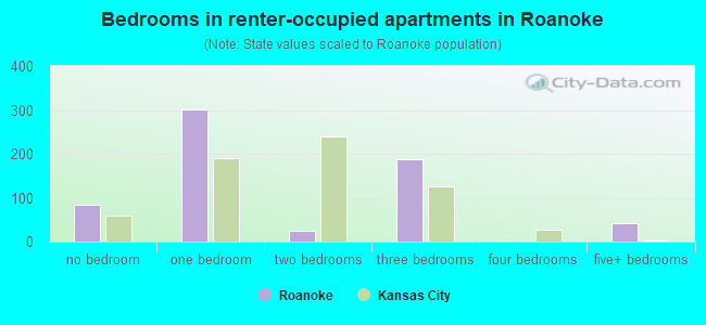 Bedrooms in renter-occupied apartments in Roanoke