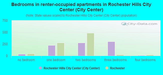Bedrooms in renter-occupied apartments in Rochester Hills City Center (City Center)