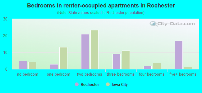 Bedrooms in renter-occupied apartments in Rochester